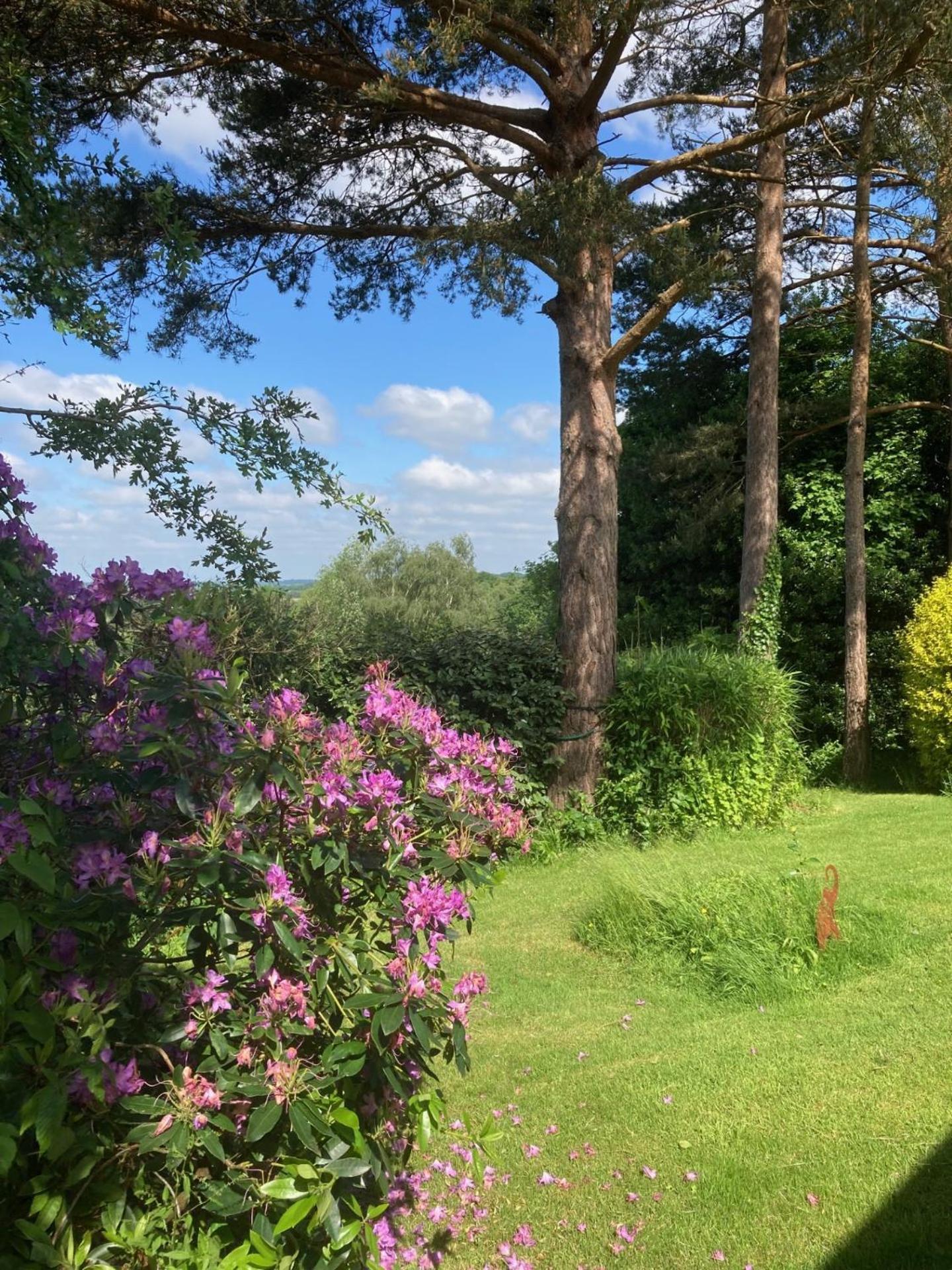 Oak Tree Cottage Uckfield Bagian luar foto