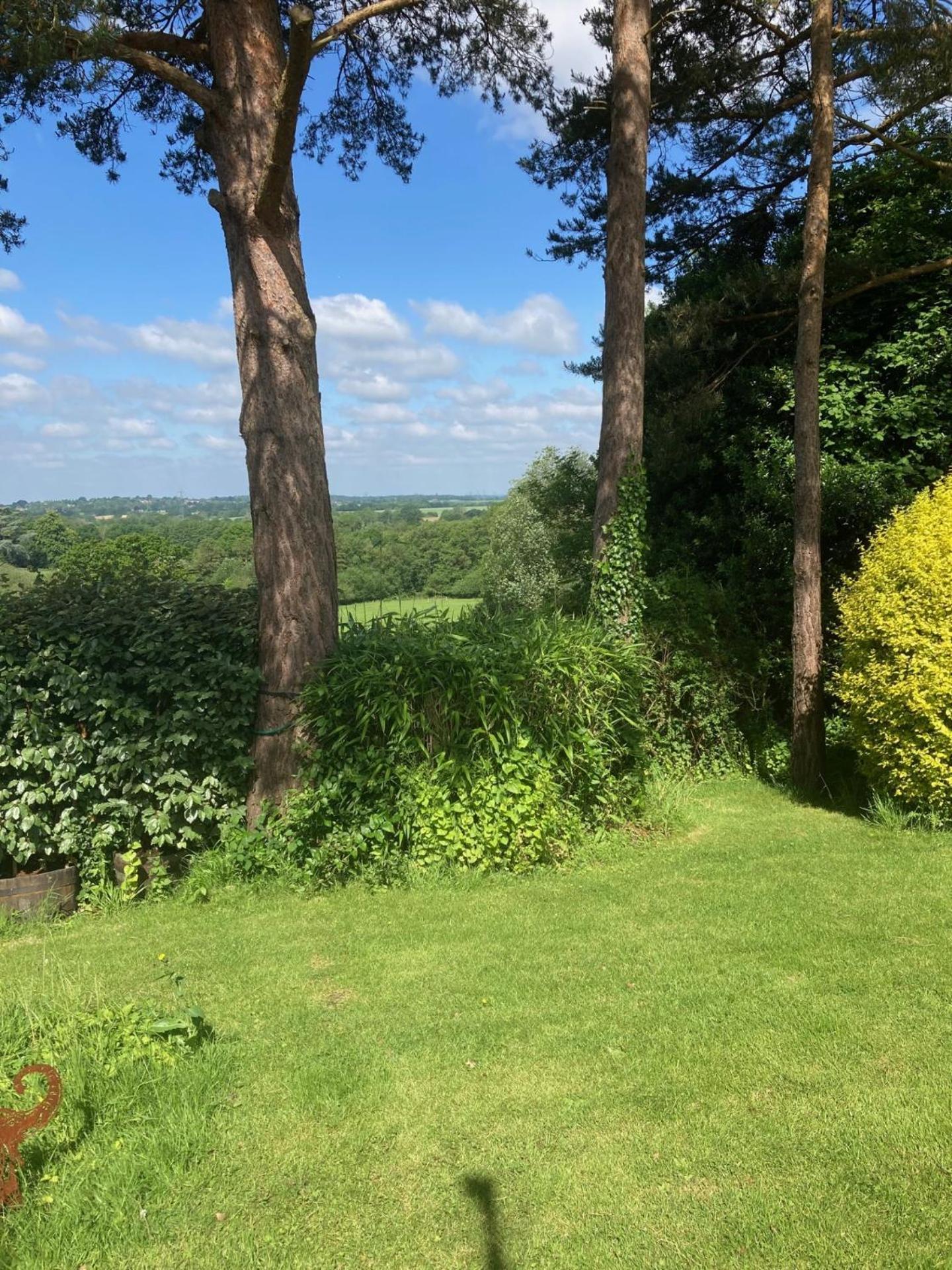Oak Tree Cottage Uckfield Bagian luar foto